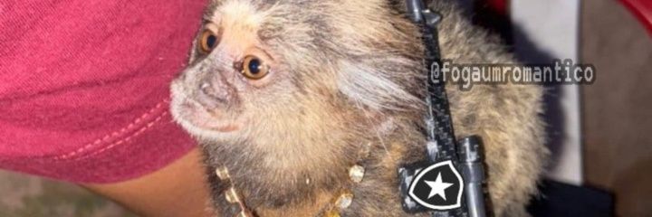 dhiegotwitte's profile banner image