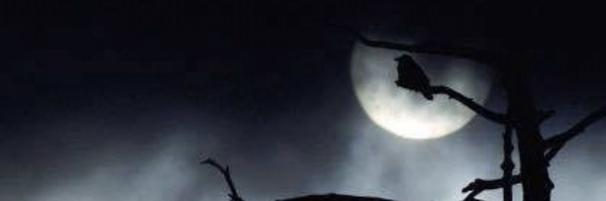 midorinblue's profile banner image