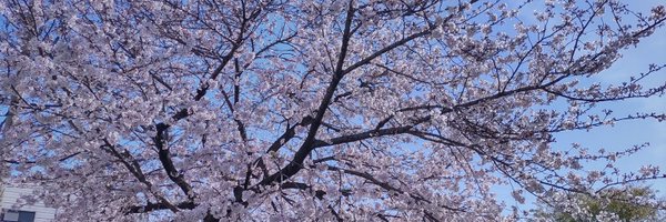 t_towana Profile Banner