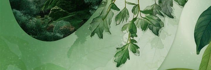 sabyzilla's profile banner image