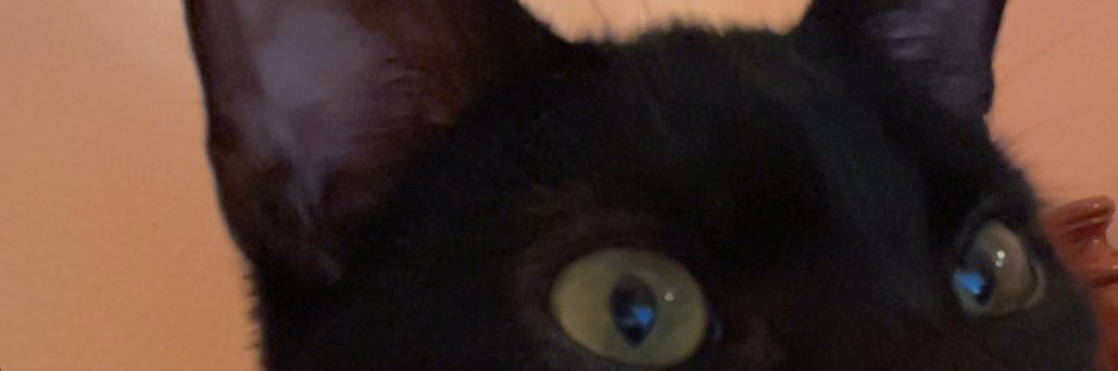 michelleelizaa's profile banner image