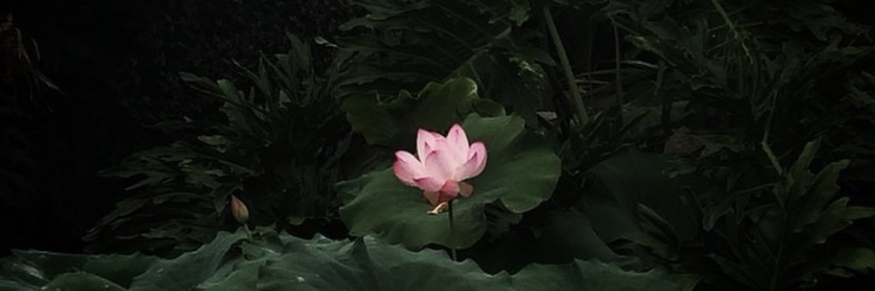 Tyrannosaurus Blessed ❤️‍🔥 banner