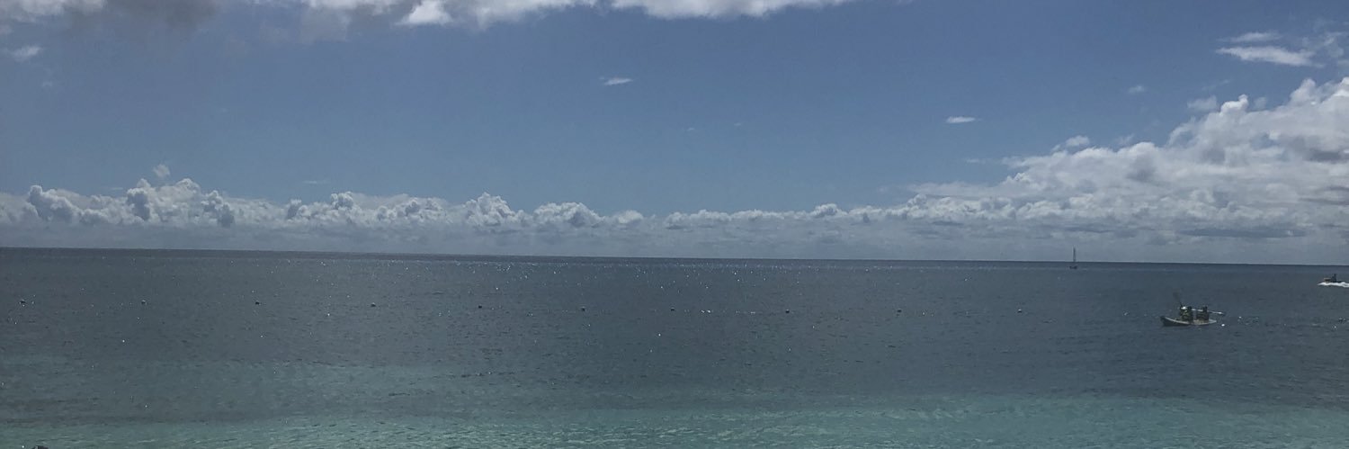 lauriemorton18's profile banner image