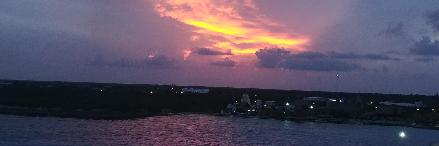 mrskrhodes's profile banner image