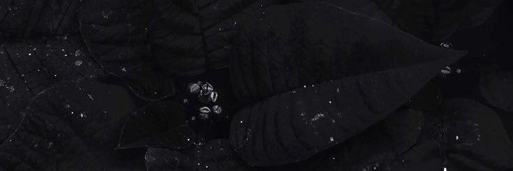 Mohhammad__'s profile banner image