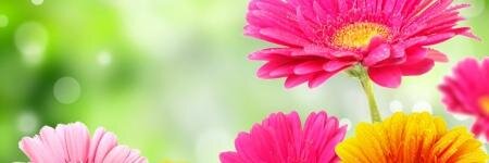 Andrea_Pas89's profile banner image