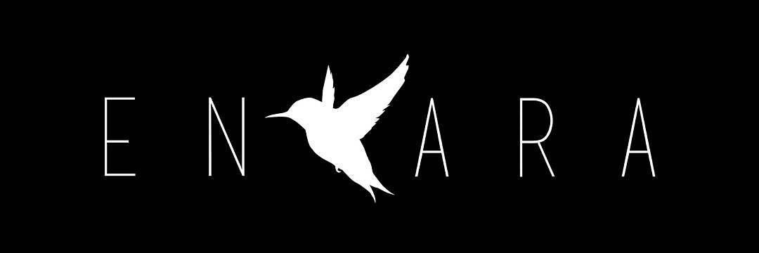 Bagaskaraka's profile banner image