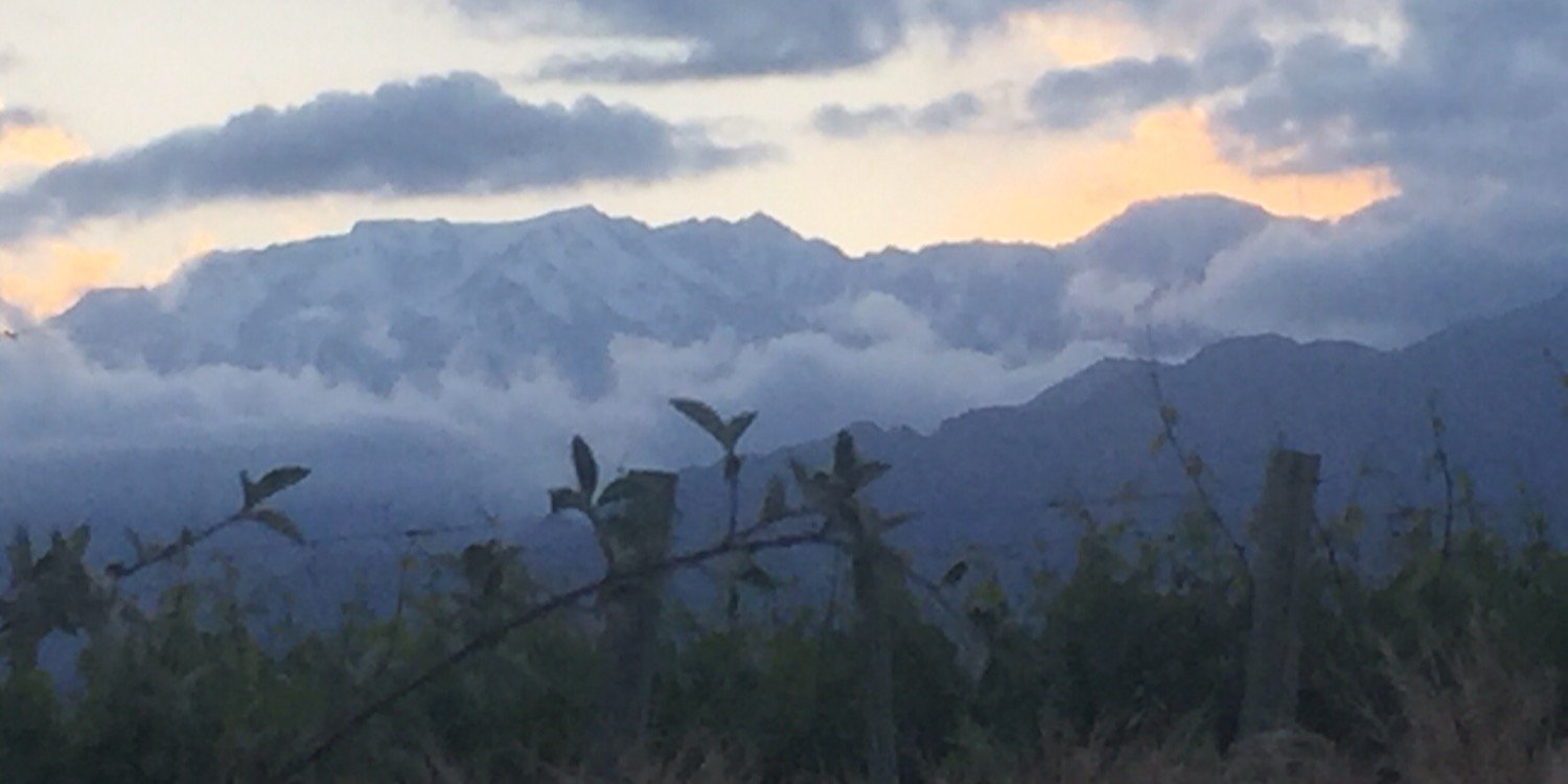Martín Reydó banner