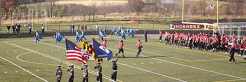 linganoreleader banner