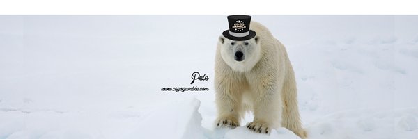 PeleMelee Profile Banner