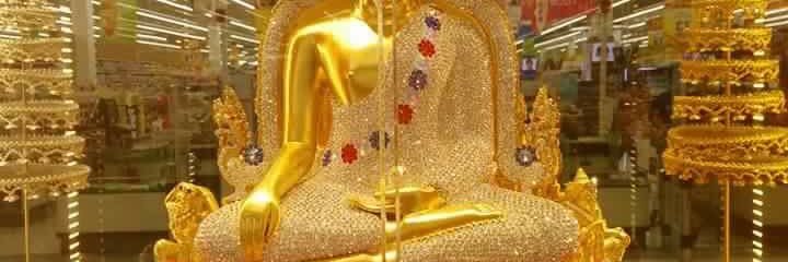 ros05817353's profile banner image