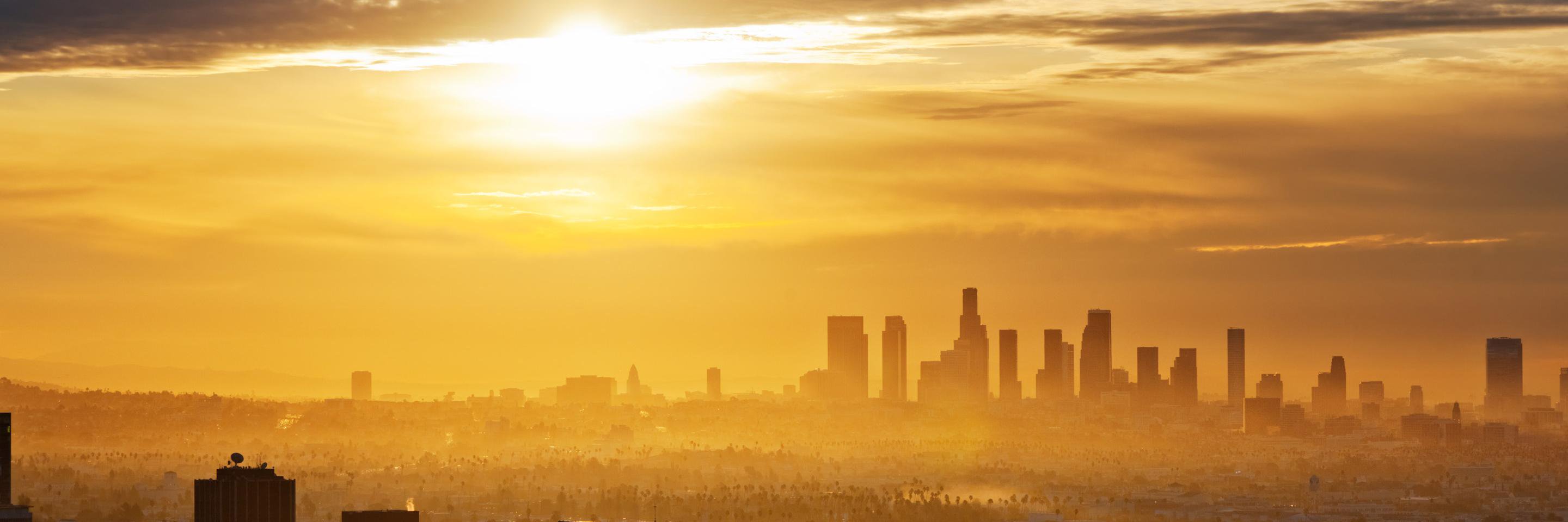 collendrew's profile banner image