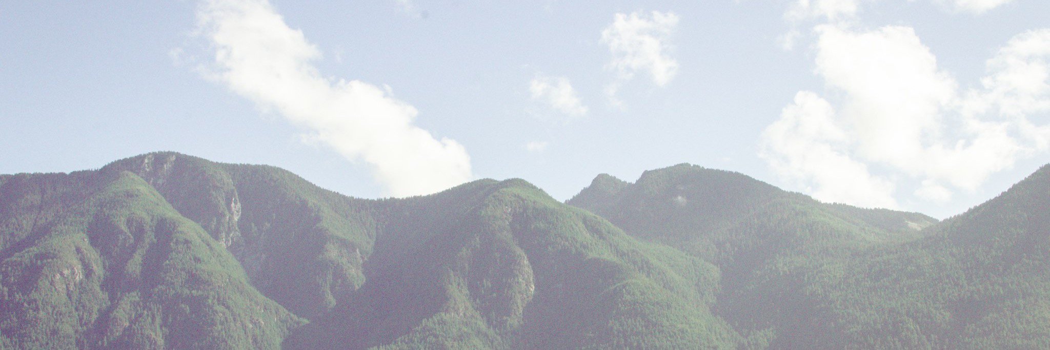 elizalomas's profile banner image