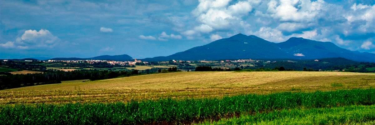 Salines Bassegoda banner