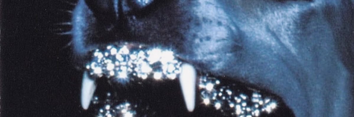 primetimehunter's profile banner image