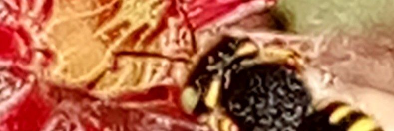 phillip_mcrae's profile banner image