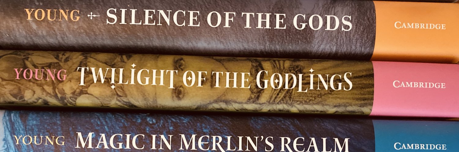 Dr Francis Young's banner