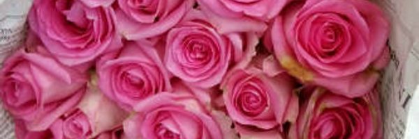 radenviee Profile Banner