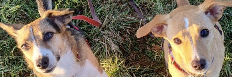 Athamos / Αδάμ banner