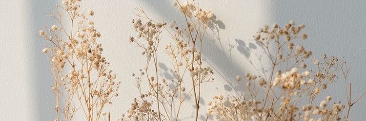lineellinee's profile banner image