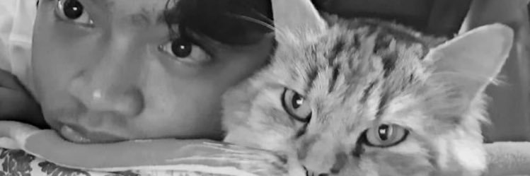Catthymariaa's profile banner image