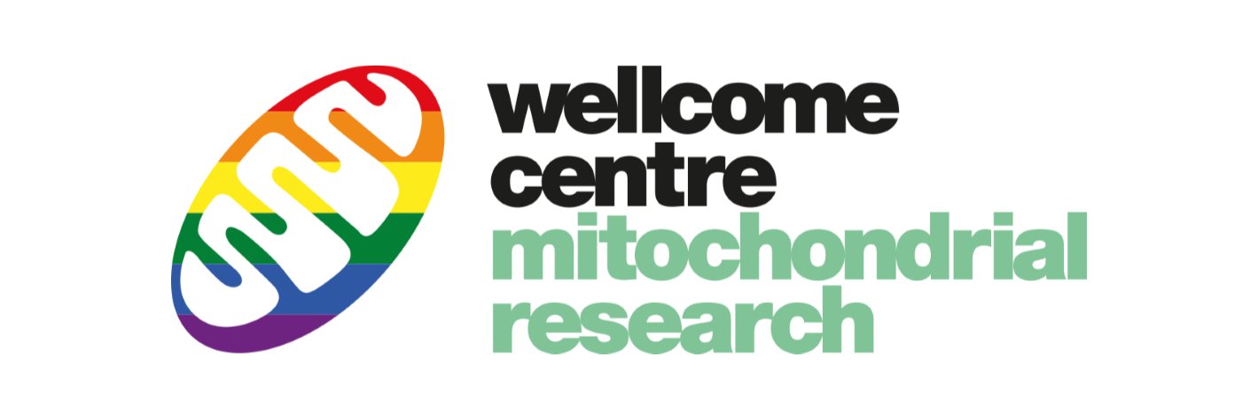 Mito Research's banner