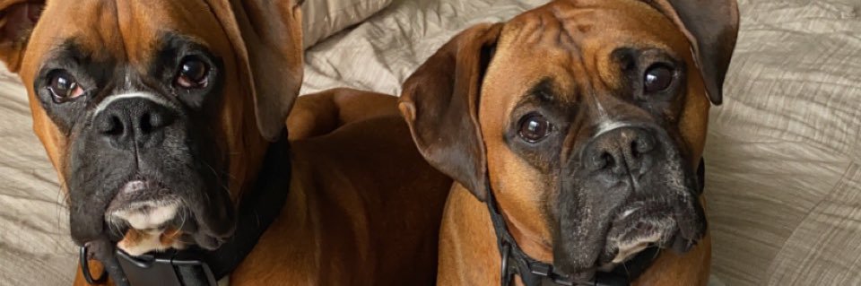 lindsaay24's profile banner image