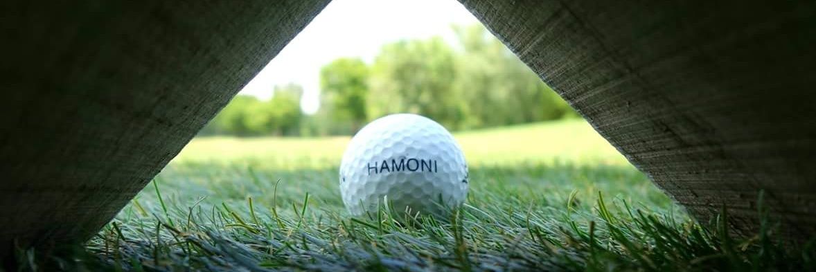 HamoniGolf's profile banner image