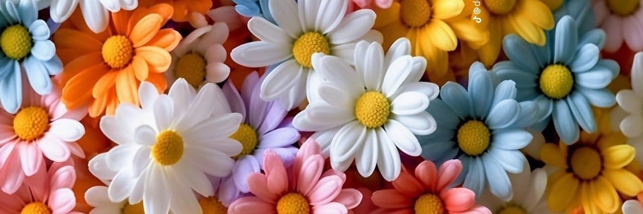chequequeres's profile banner image
