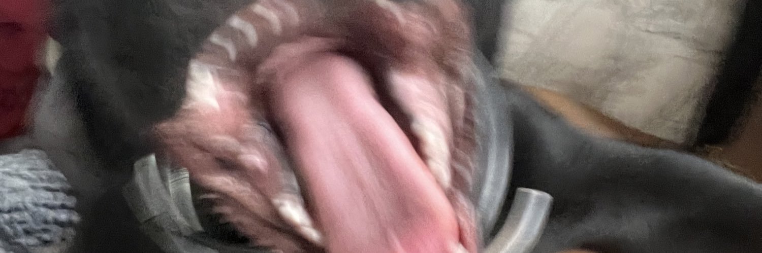 Ruger🅿️Rell 💀🐘 banner