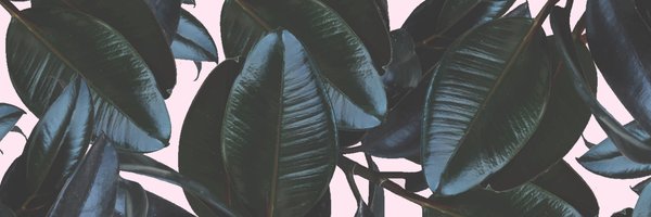 deefontein Profile Banner