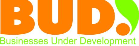 BizBudee banner