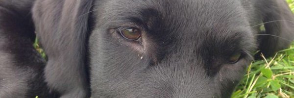 GTCSJac Profile Banner