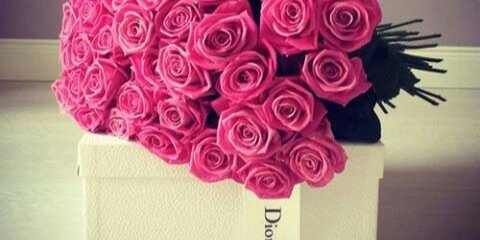 dionnx_'s profile banner image