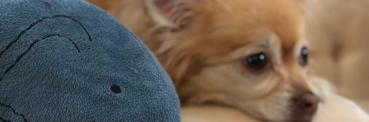 JAAAYNA's profile banner image