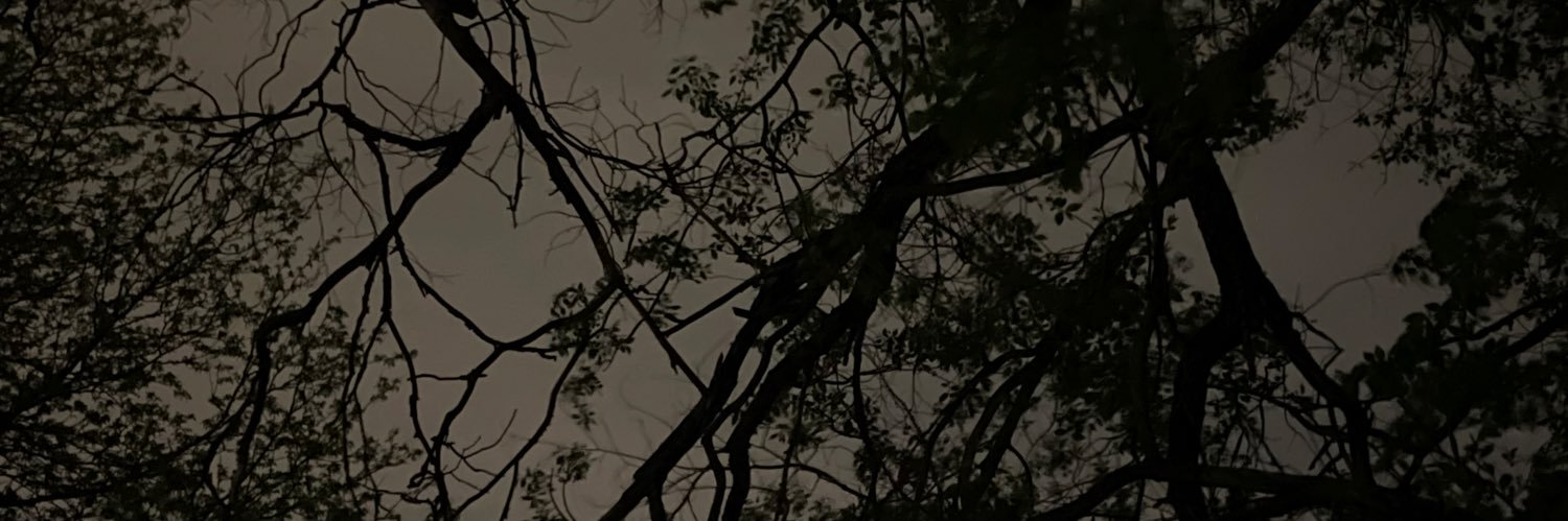 312photowizard's profile banner image