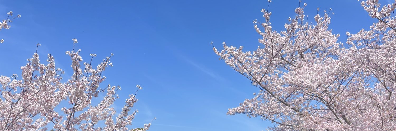 jenocidejenocid's profile banner image