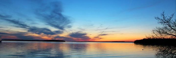 Sarah Madter (She/Her) banner