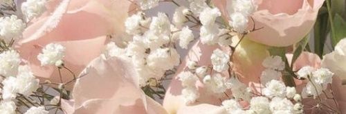 anothernadines's profile banner image