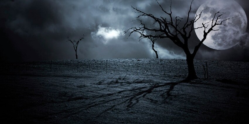 HauntedTrailNY's profile banner image