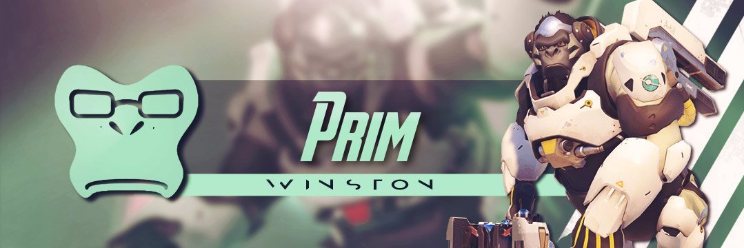 PrimPrim1991's profile banner image