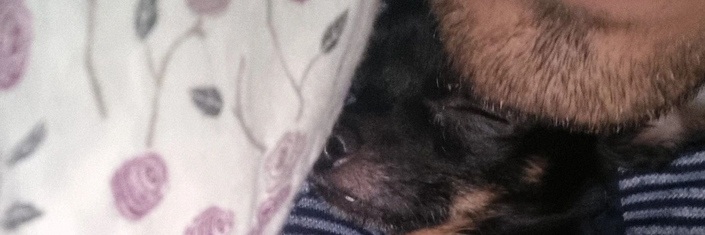 DonMikelae's profile banner image