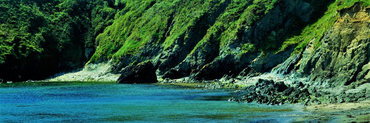 ReneHedges's profile banner image