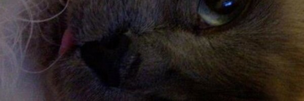 NLi10 Profile Banner