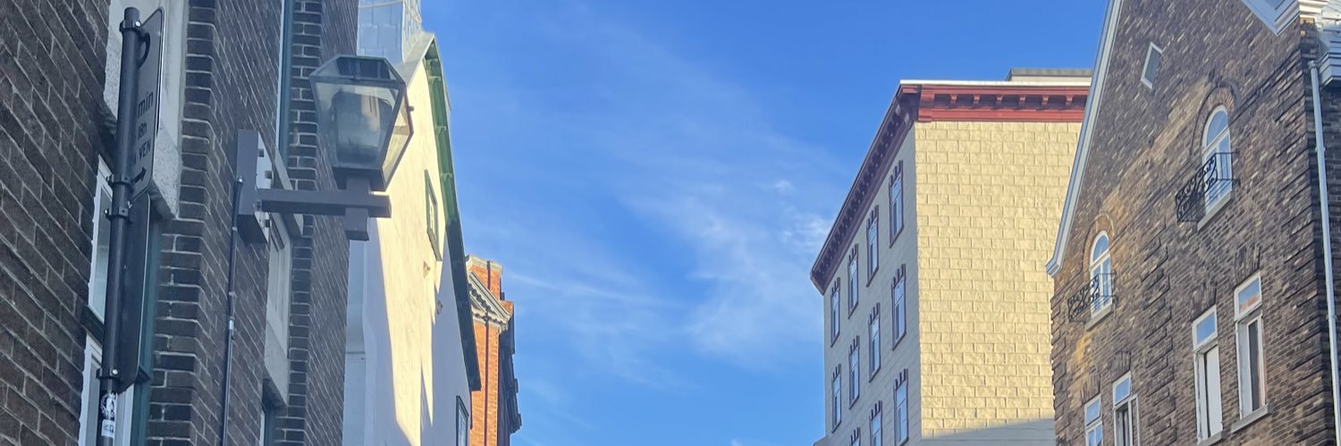___241239's profile banner image