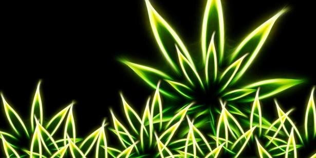 WeeDerRRR's profile banner image