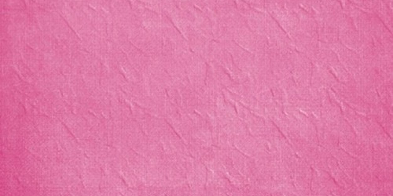 tessmeerman's profile banner image