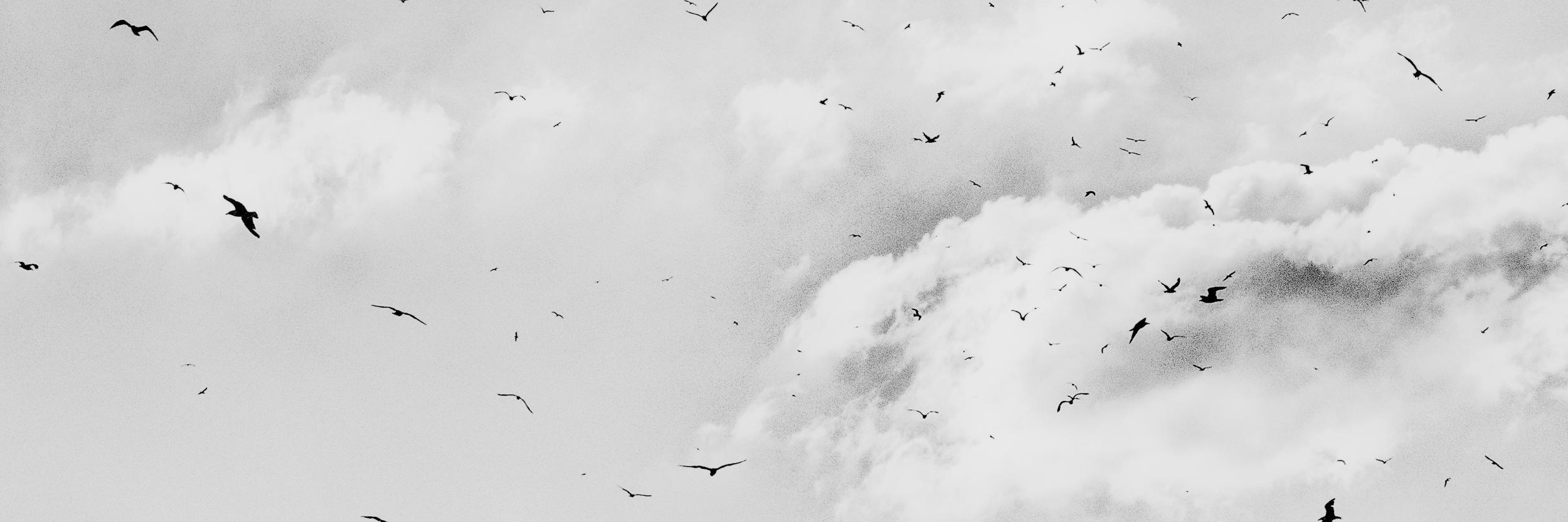 MSNBCPhoto's profile banner image