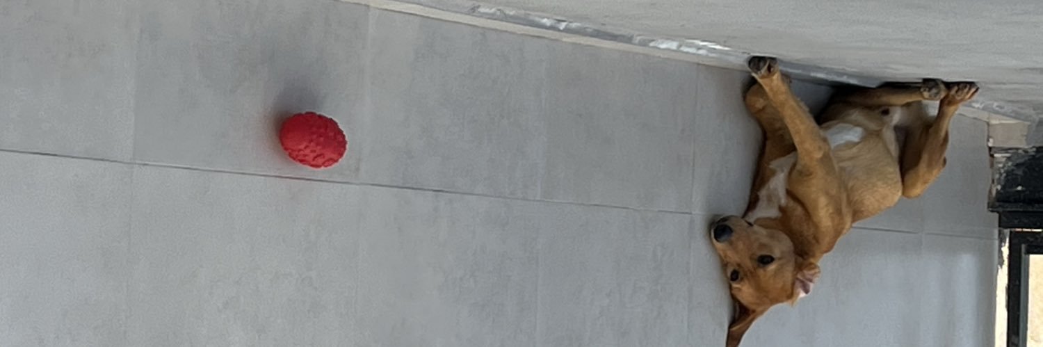 juusep_'s profile banner image