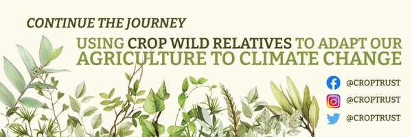 CropWildRelativ Profile Banner